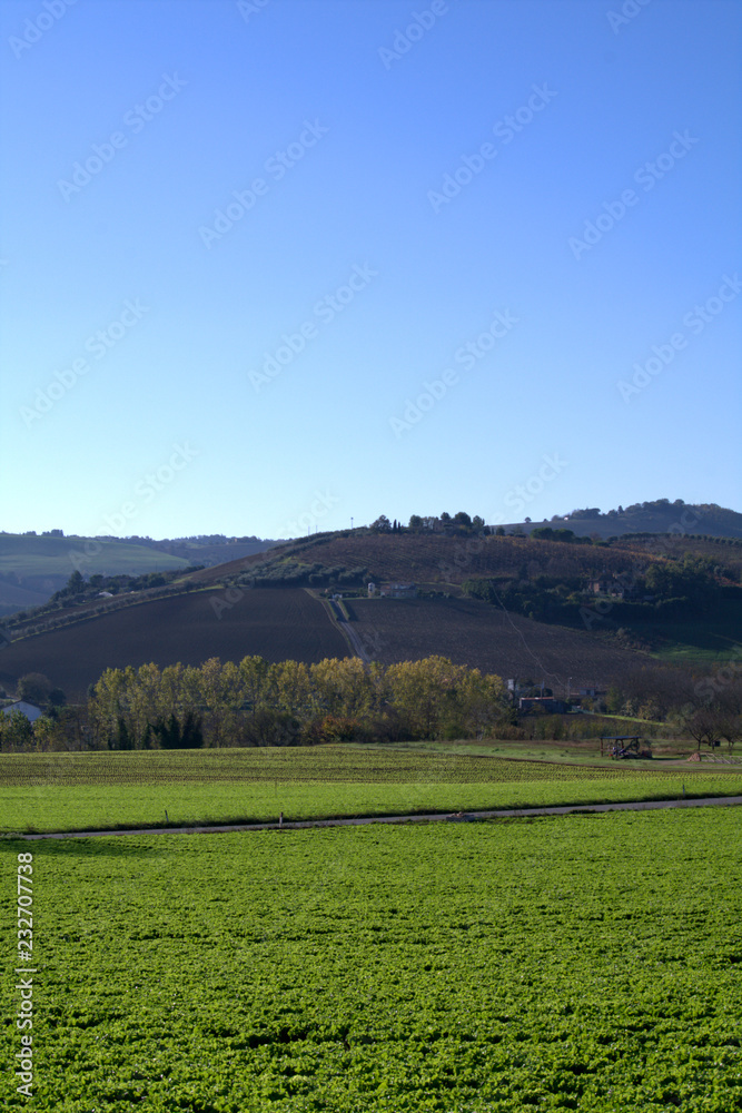landscape with green field and blue sky,field, sky, grass, green, meadow, nature, blue, hill, countryside, rural,panorama,view, horizon, agriculture, hills, tree, country, outdoor, farm,autumn