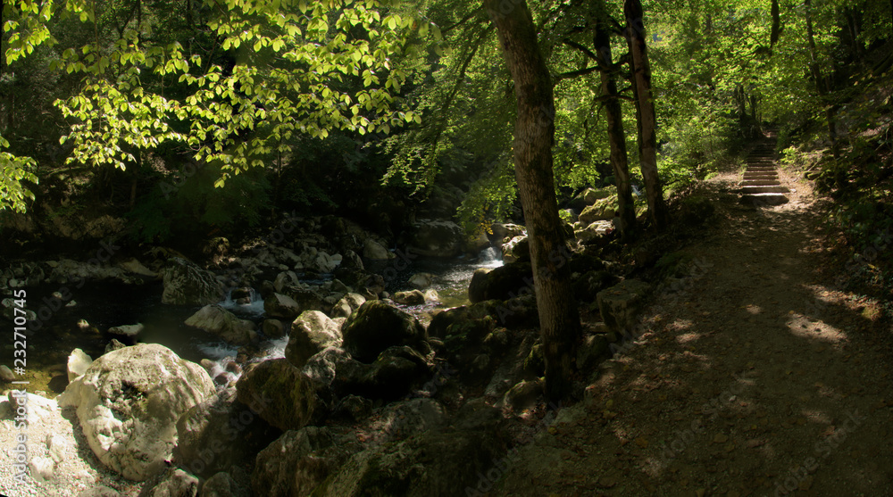 Naklejka premium Section of the stream bed and walls in the Gorges de l'Areuses, Romandie