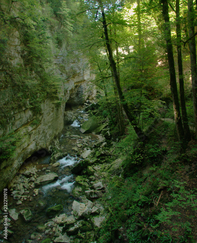 Section of the stream bed and walls in the Gorges de l'Areuses, Romandie