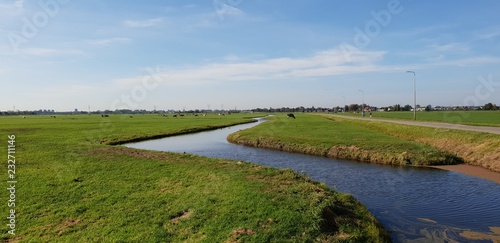 green meadows with ditch with water in the polder at Oude Ade in The Netherlands.