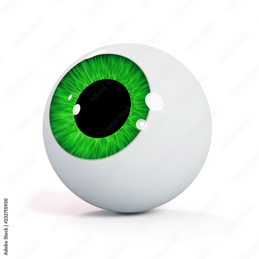 human eyeball with green iris isolated with shadow on white background looking up (3d rendering) human eyeball with green iris isolated with shadow on white background looking up (3d rendering)