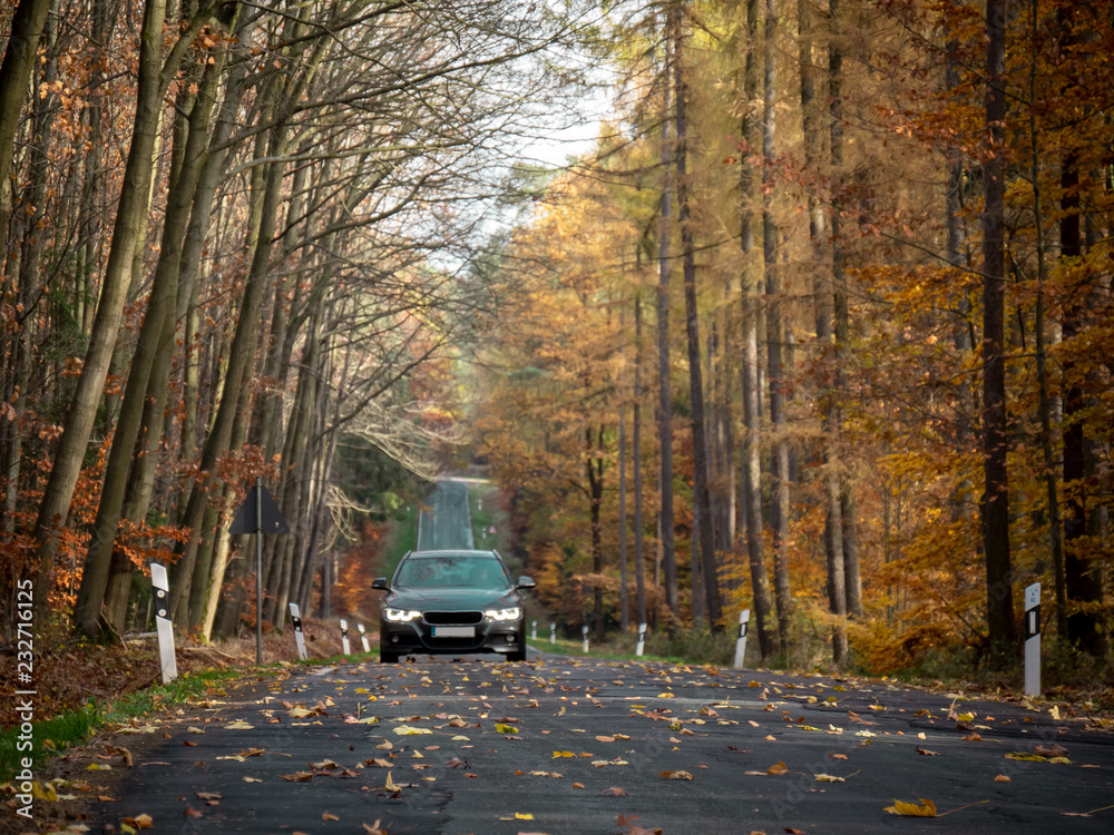 Landstrasse im Herbst - Blätter auf Fahrbahn