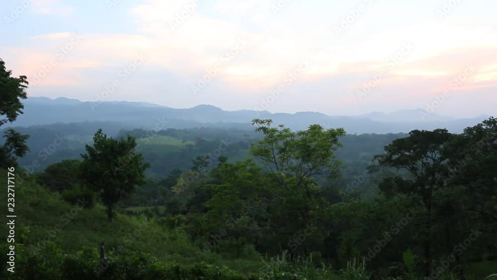 Pan right of the Mexican rainforest of Veracruz Pan right of the Mexican rainforest of Veracruz