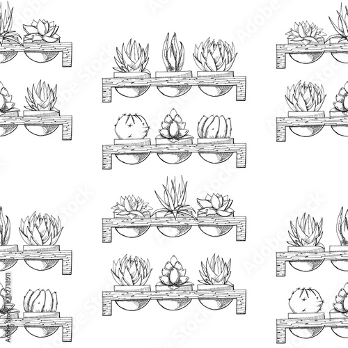 Sketch of three succulents in pots on a wooden stand. Vector illustration of a sketch style.Seamless pattern.