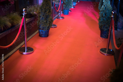 red carpet is traditionally used to mark the route taken by heads of state on ceremonial and formal occasions, and has in recent decades been extended to use by VIPs and celebrities at formal events