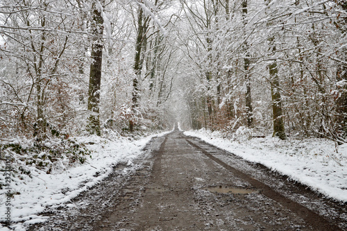 A beautiful snowy forest road