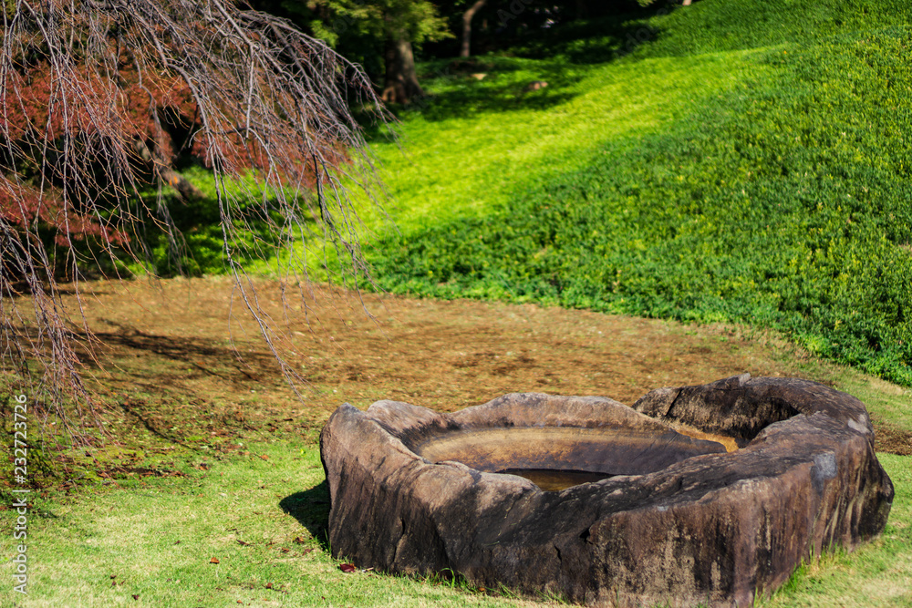 A rock in japanese garden (Koishikawa Korakuen, Tokyo, Japan) A rock in japanese garden (Koishikawa Korakuen, Tokyo, Japan)