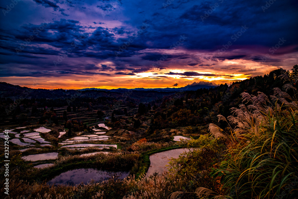 Naklejka premium 秋の新潟県・朝焼けにもえる星峠の棚田