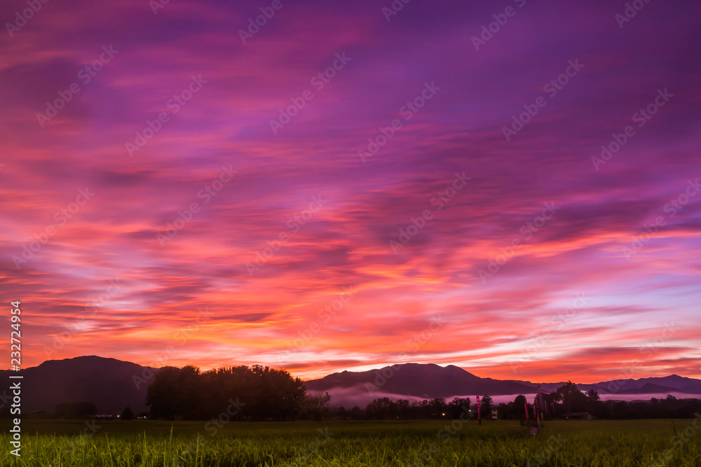landscape Paddy rice field with sky in Twilight time