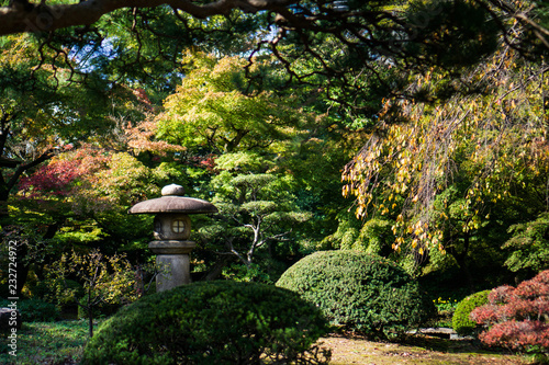 Stone lantern Japanese garden in autumn