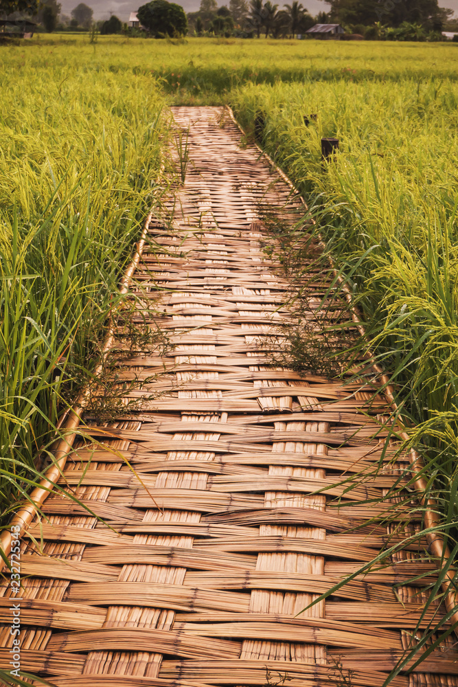 Wood bridge beside green farm in Nan, northern of Thailand, blue sky, blue sky cloud Wood bridge beside green farm in Nan, northern of Thailand, blue sky, blue sky cloud
