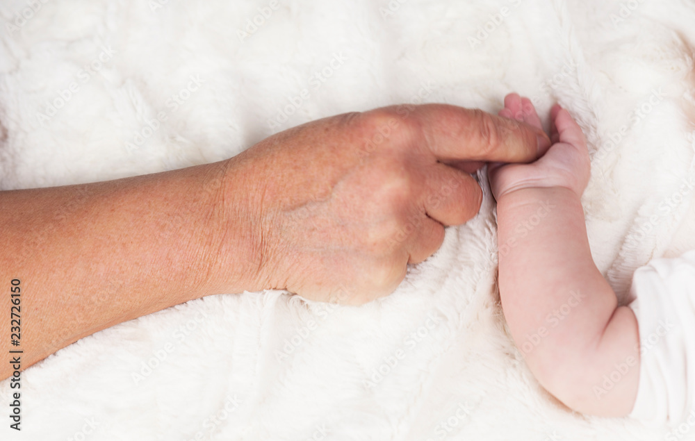 the generational difference in the hands,hand grandmother with handle baby on a white background the generational difference in the hands,hand grandmother with handle baby on a white background