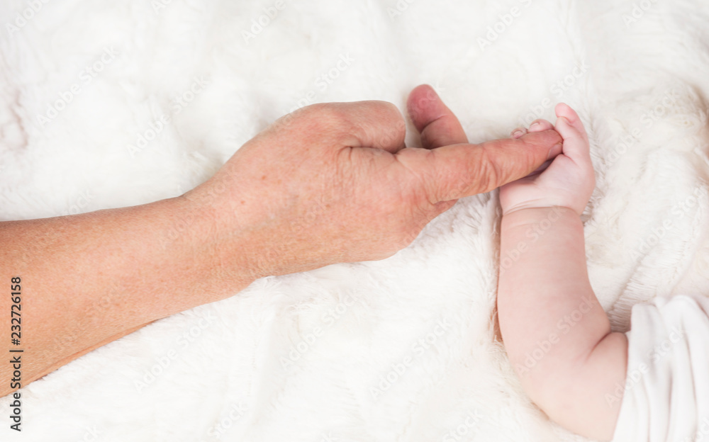 the generational difference in the hands,hand grandmother with handle baby on a white background the generational difference in the hands,hand grandmother with handle baby on a white background