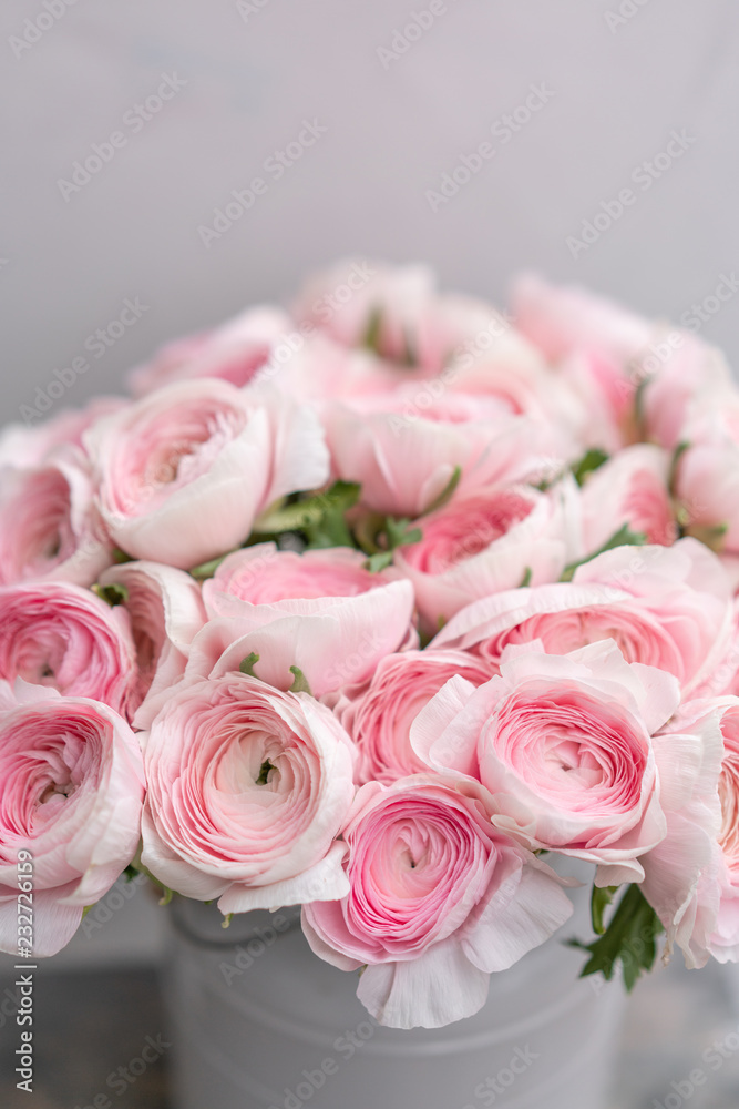 Ranunculus asiaticus or Persian Buttercup. Bunch of pastel pink blossom . Light gray background, metal vase. Wallpaper, flowers texture Ranunculus asiaticus or Persian Buttercup. Bunch of pastel pink blossom . Light gray background, metal vase. Wallpaper, flowers texture