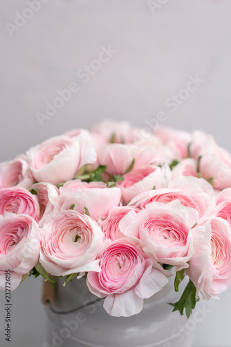 Ranunculus asiaticus or Persian Buttercup. Bunch of pastel pink blossom . Light gray background  metal vase. Wallpaper  flowers texture