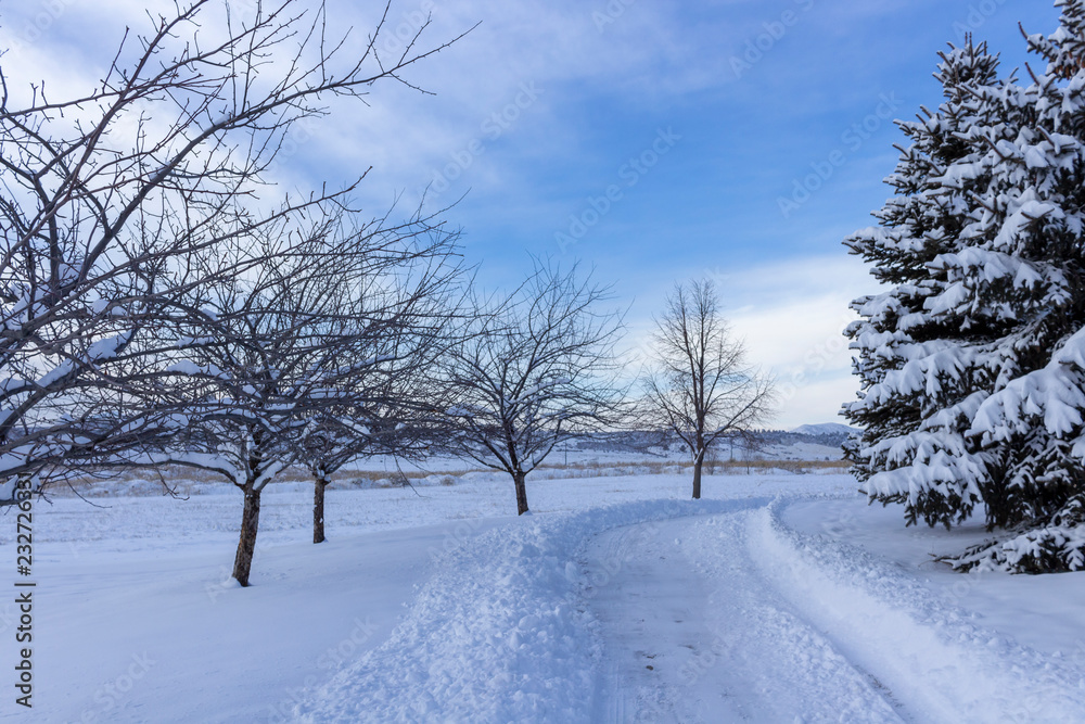 Snowy Sidewalk at Dusk