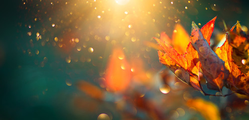 Wandcirkels Herfst Wuivende herfstbladeren in zonnig park  © Subbotina Anna