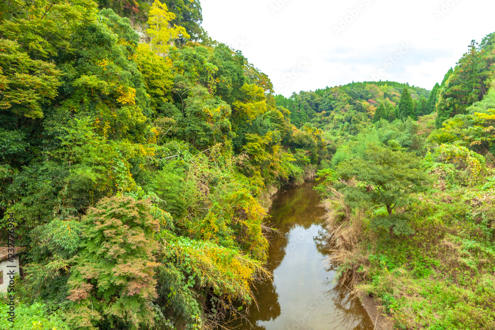 上高地　大正池　長野　信州　夏　旅行　観光　名所　明神池　河童橋