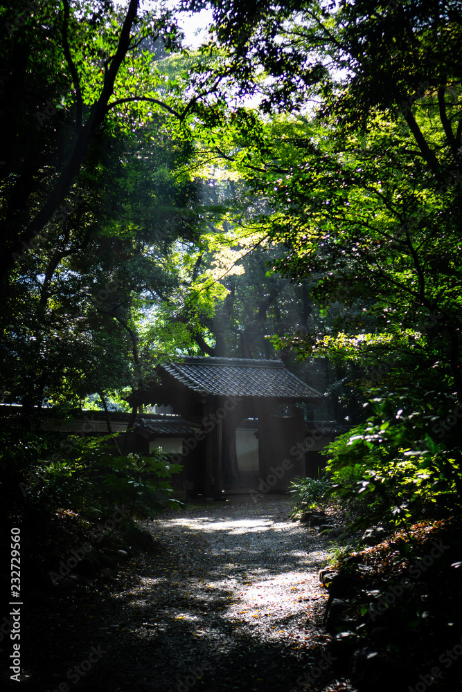 Sunlight through trees on a traditional Japanese gate in Japanese garden (Koishikawa Korakuen, Tokyo, Japan) Sunlight through trees on a traditional Japanese gate in Japanese garden (Koishikawa Korakuen, Tokyo, Japan)
