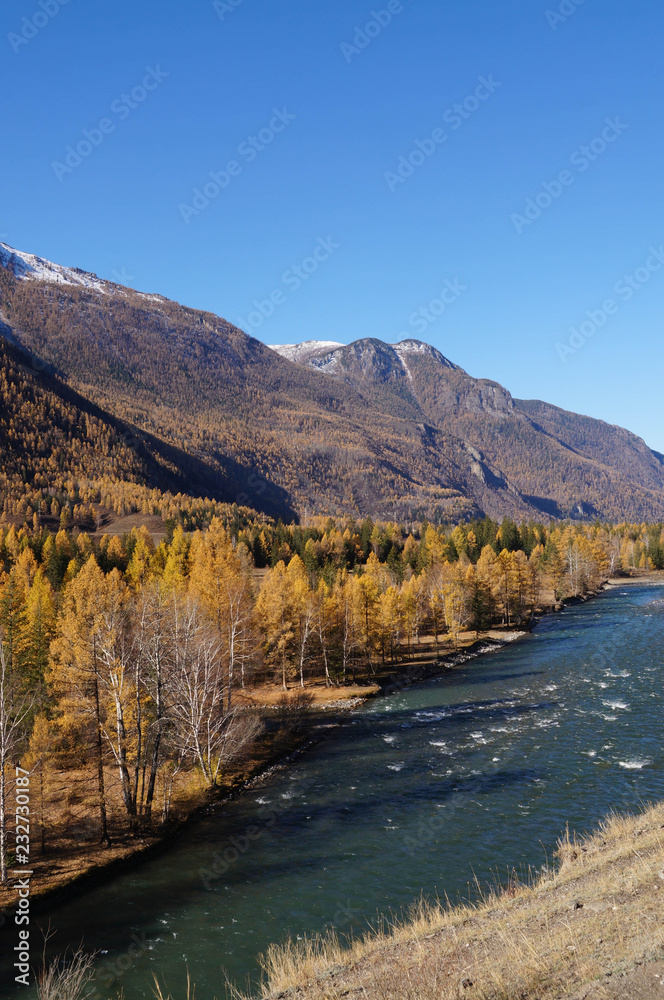Beautiful view in autumn,Altai,Russia.