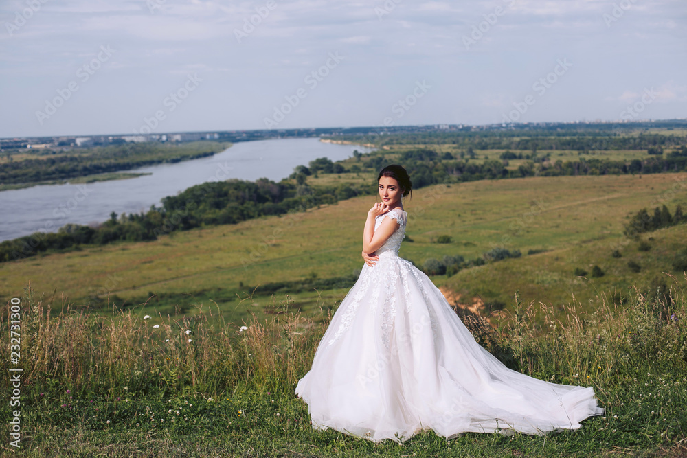 Wedding. Bride posing against a beautiful landscape in a white dress Wedding. Bride posing against a beautiful landscape in a white dress