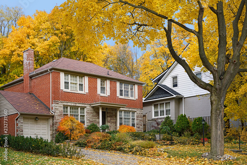 Tree lined residential street with fall colors