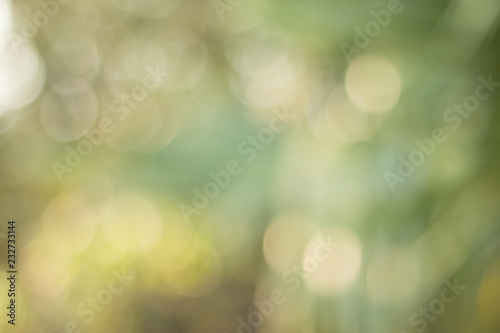 Natural green blurred abstract for background