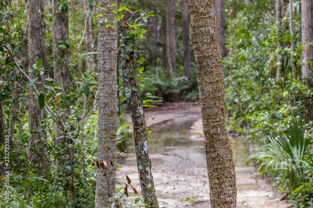 Everglades National Park Everglades National Park