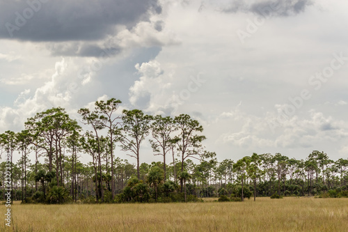 Everglades National Park