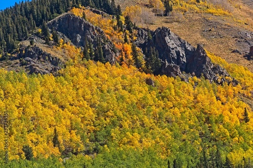 Fall color among large, black rock cliffs