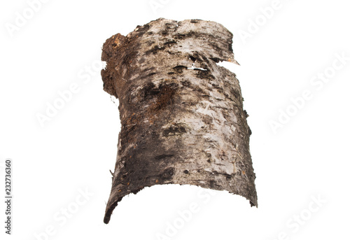bark isolated on white background