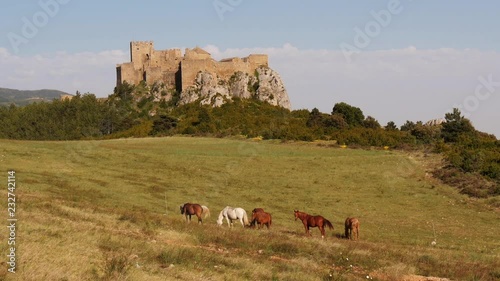 Horses in front of Castillo de Loarre / Castle of Loarre in Huesca, Aragon, Spain