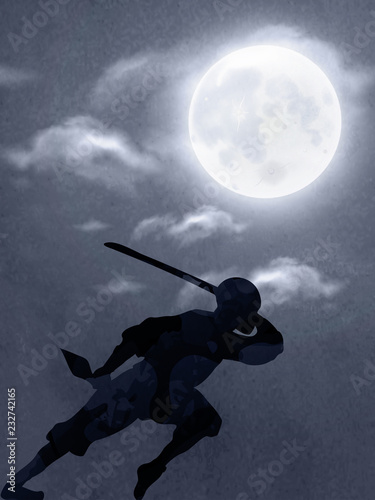 A Japanese Ninja Under The Moonlight 
