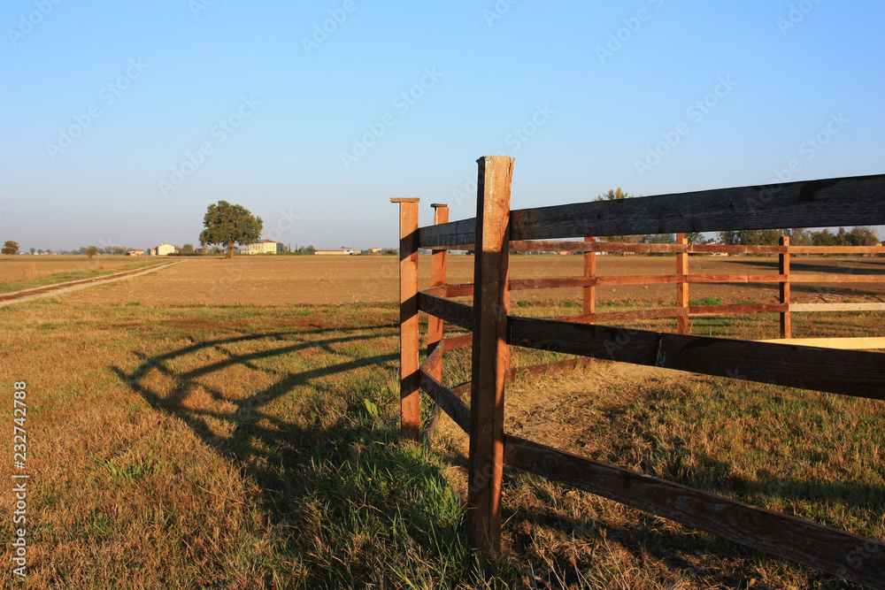The fence on the farm