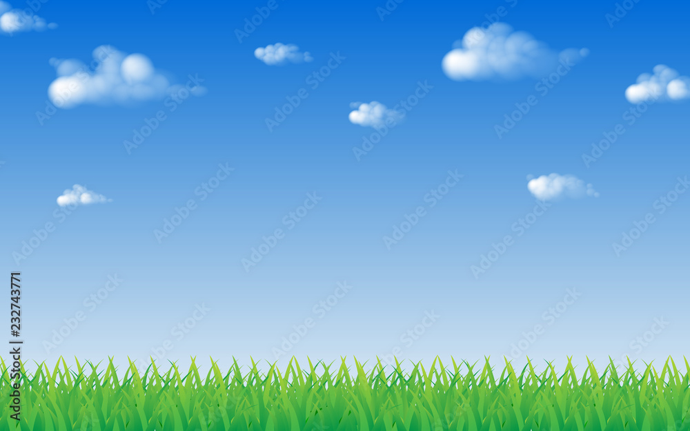 green grass and blue sky with cloud and copy space, vector illustration draw