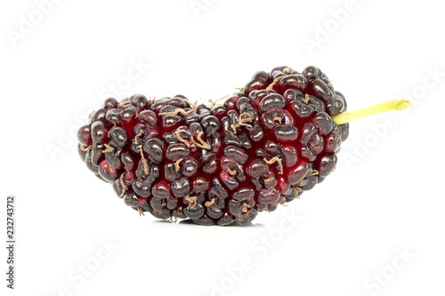 Mulberry is healthy fruit for make juice put on white background