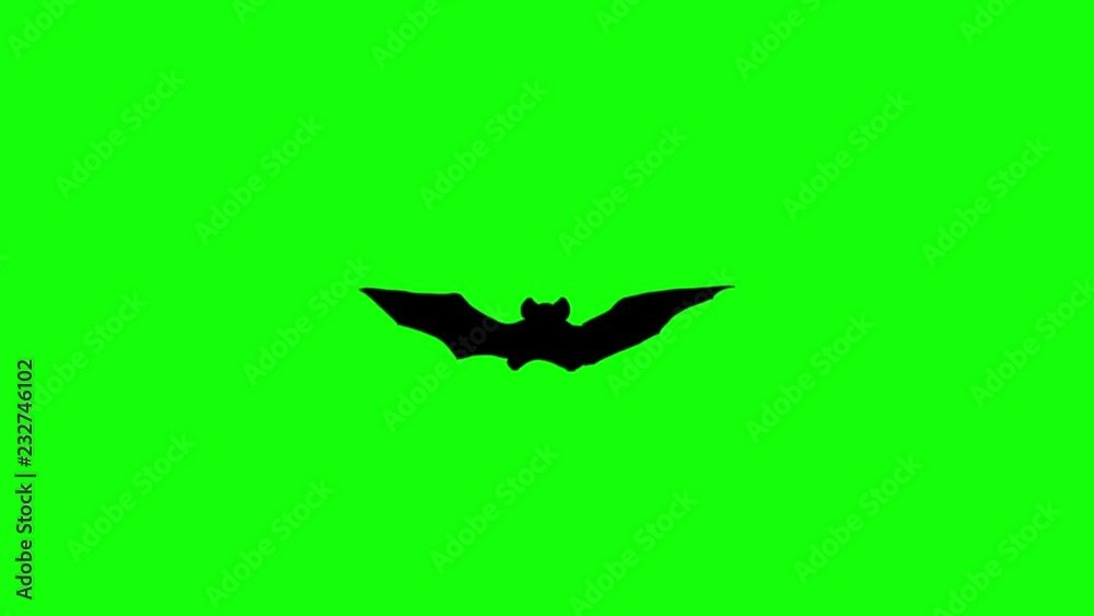 Flying bat on a computer graphic animation. Green screen Flying bat on a computer graphic animation. Green screen
