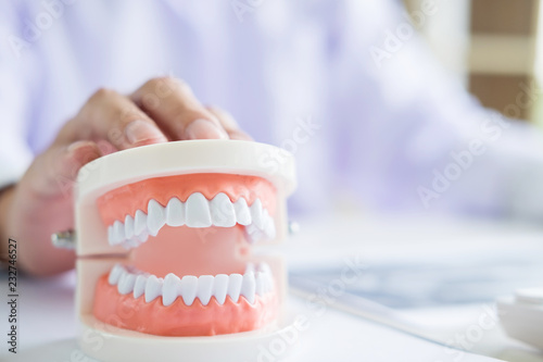 Concentrated dentist sitting at table with jaw samples tooth model in dental office professional dental clinic