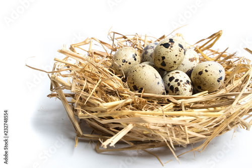 quail eggs in a nest isolated on white background