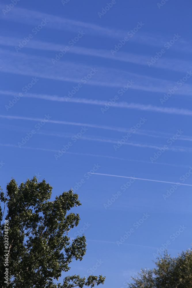 Traces on a clear blue sky.