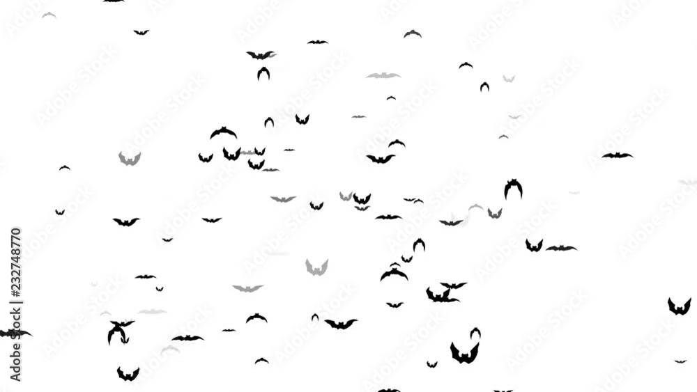 Flying bats on a white background animation Flying bats on a white background animation