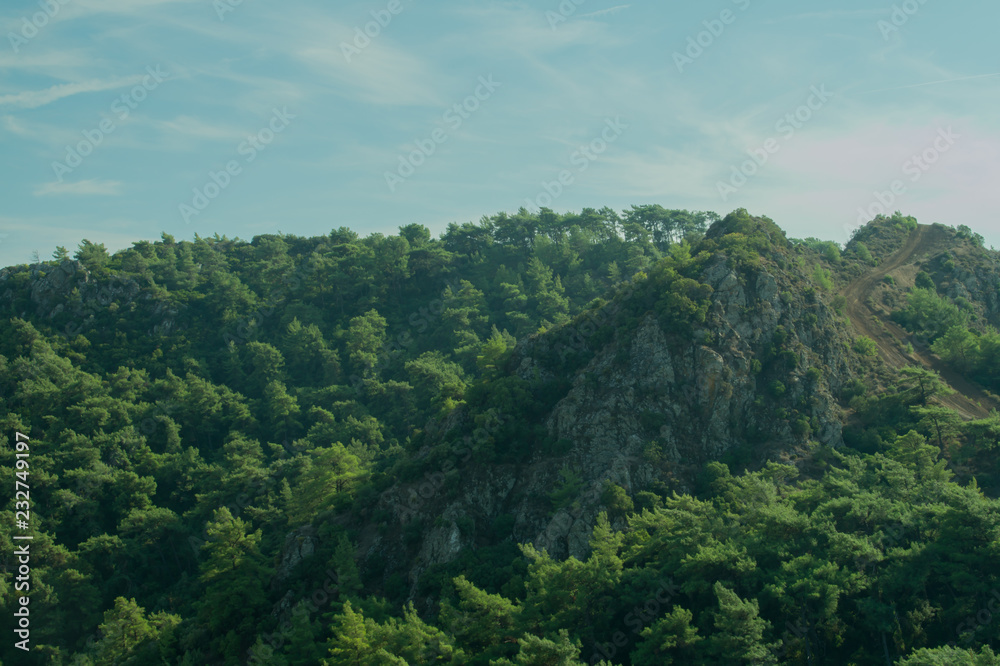Mountain with dense green forest background