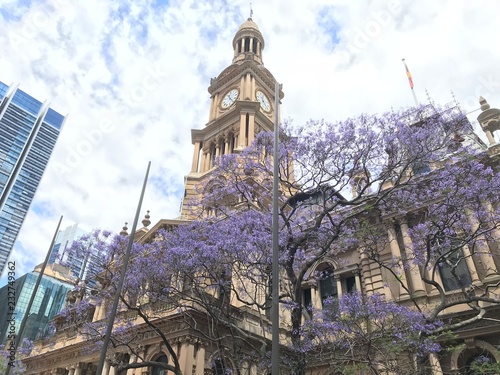 Photography Sydney Town Hall with Jacaranda