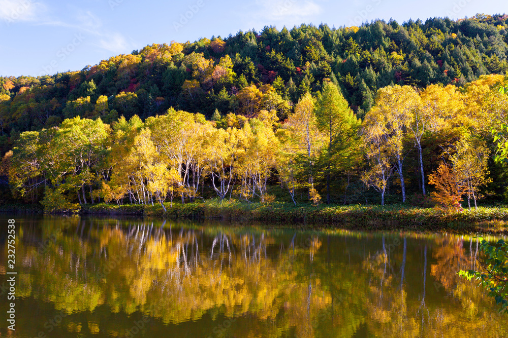 長野県　志賀高原の木戸池の紅葉