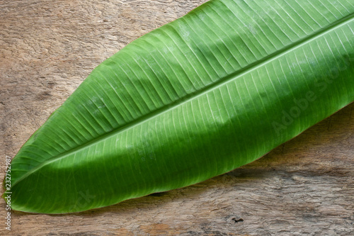 Young banana leaf on wood background. In southeast Asia people use banana leaf to wrap or hold food.