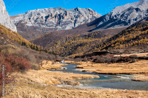 Sacred tibetan mountain with golden meadow and river