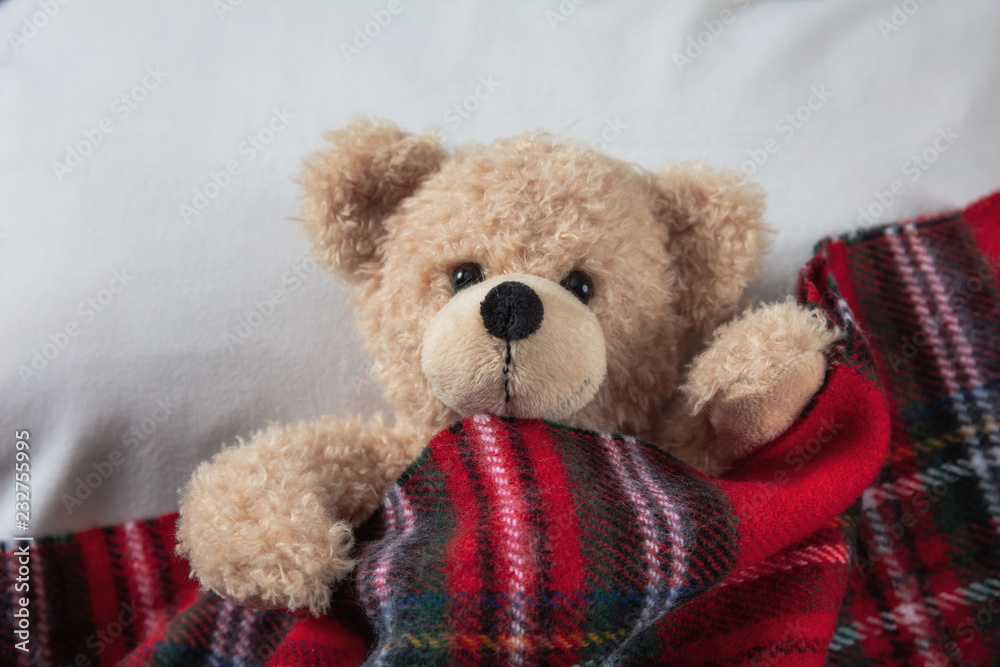 Cute teddy covered with a warm blanket, laying in bed