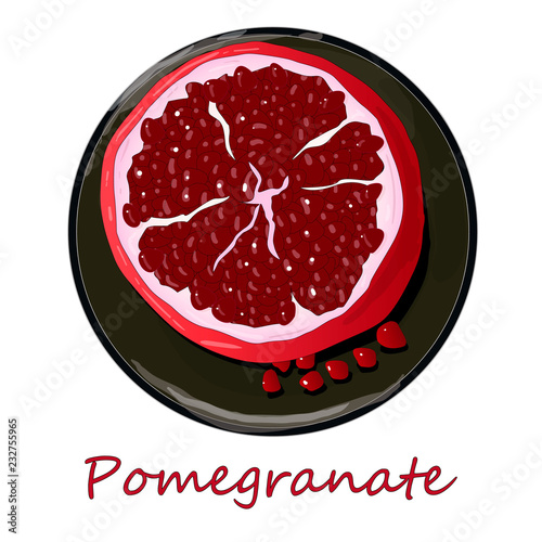 Pomegranate hand drown vector illustration isolated on white background.