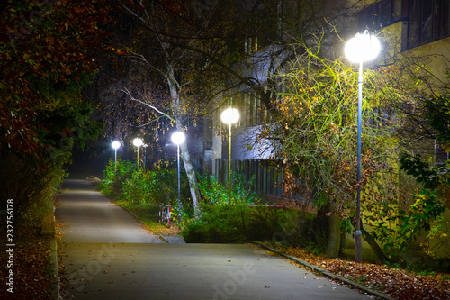 night park in autumn with streetlights