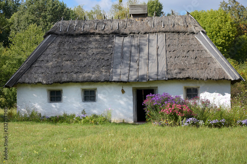 Small old cute house with white walls and gray thatched roof with colorful flowers bed near the door on green summer background